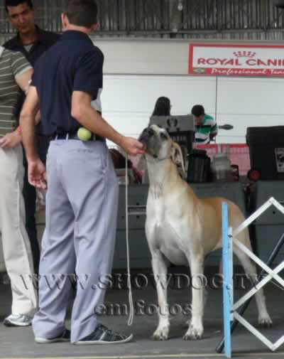 Clique sobre a foto para fechar